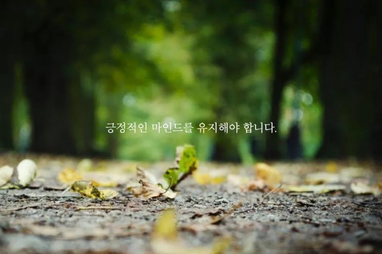  좋은글.긍정마인드를 유지해야 합니다
