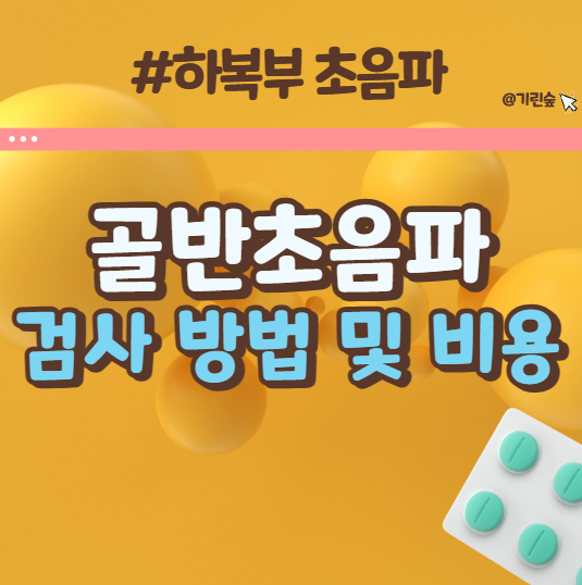 하복부 초음파 골반초음파 검사 방법 및 비용, 금식 소변 참기