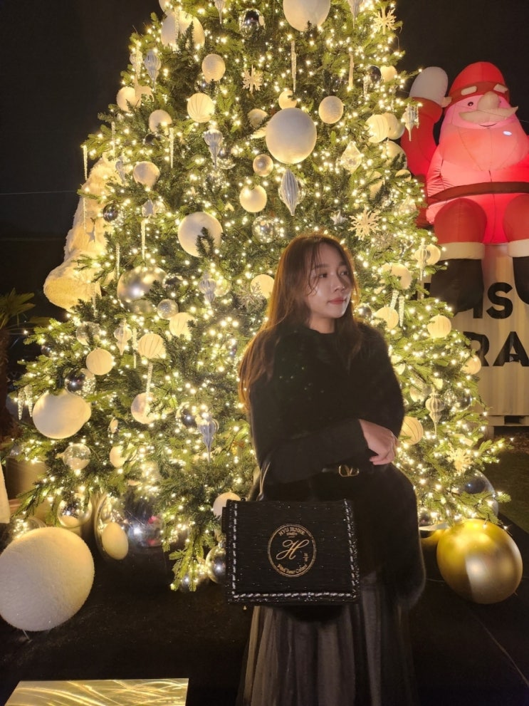  토트백 미니 트위드 가방 디자이너브랜드 휴젠느 라푸백 클래식
