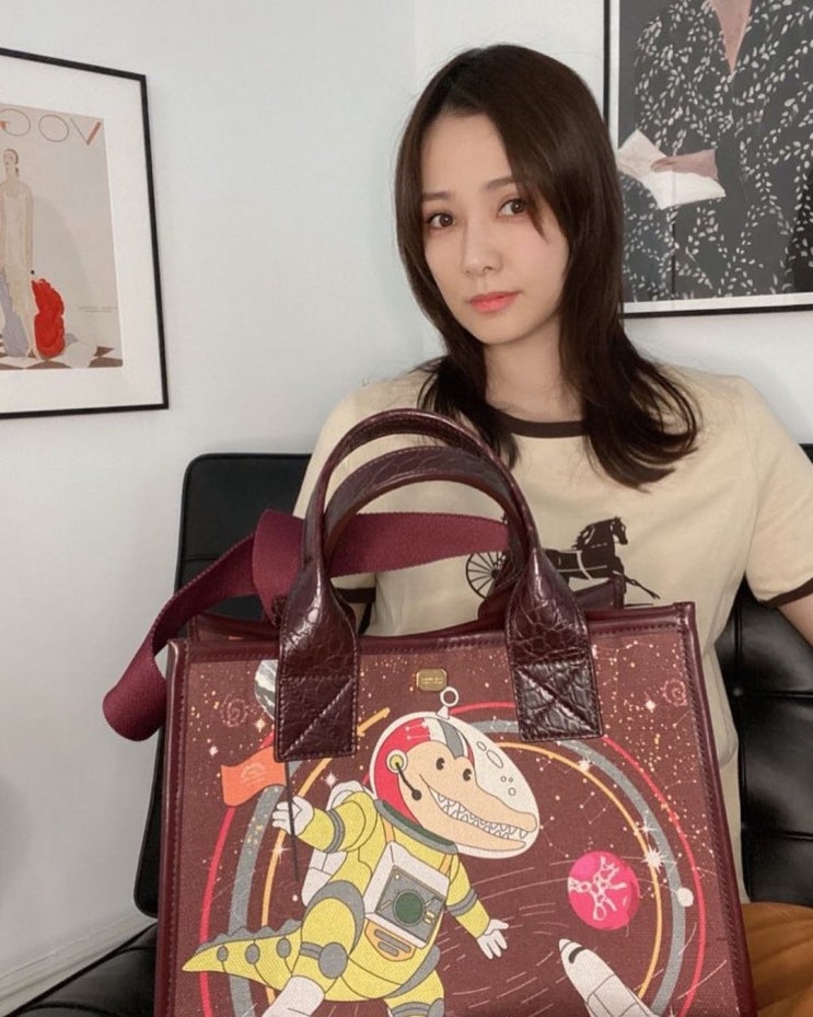  40대 엄마의 외출 때 넉넉한 수납력과 예쁜 디자인으로 좋은 캔버스백 재질의 여자 명품 브랜드 가방 추천 w. 손태영