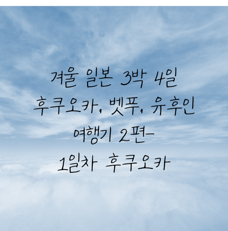  겨울 일본 3박 4일 후쿠오카여행 2편-1일차/후쿠오카 여행기/후쿠오카러쉬/오호리공원/모토모라규카츠/돈키호테텐진본점