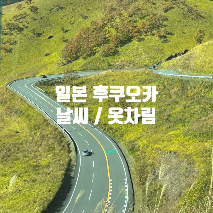  일본 후쿠오카 날씨와 옷차림(11월 말~12월 겨울)