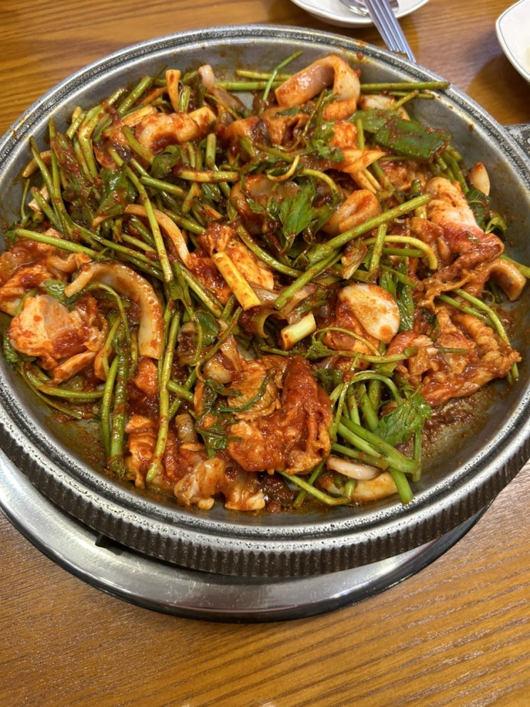  광명 롯데아울렛 맛집 - 군산오징어