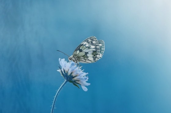 청력 좋아지는 방법 적극적으로 직접 확인해요