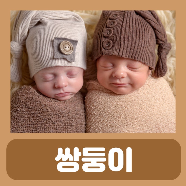  이란성 일란성 세쌍둥이 네쌍둥이 차이 쌍둥이 임신 자연분만 가능? 낳는법