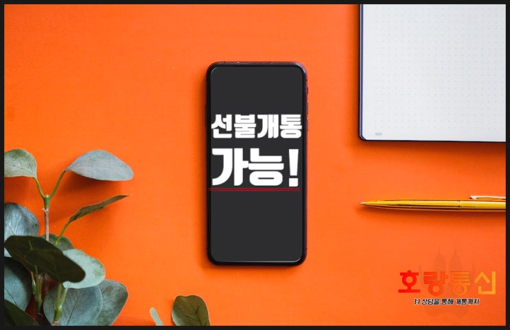 선불유심 개통 가능한지 확인하는 방법 선불유심 개통 가능한지 확인하는 방법