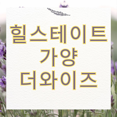  힐스테이트 가양더와이즈 대전 동구 신규아파트 가양동 현대건설 청약일정 타입별 분양가 견본주택 관람 문의