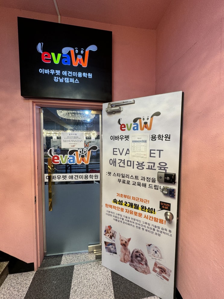  강남애견미용학원 자격증 필기 실기 시험, 비용 꿀팁