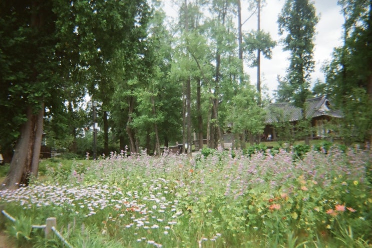  yiseull13/nb/223277528726