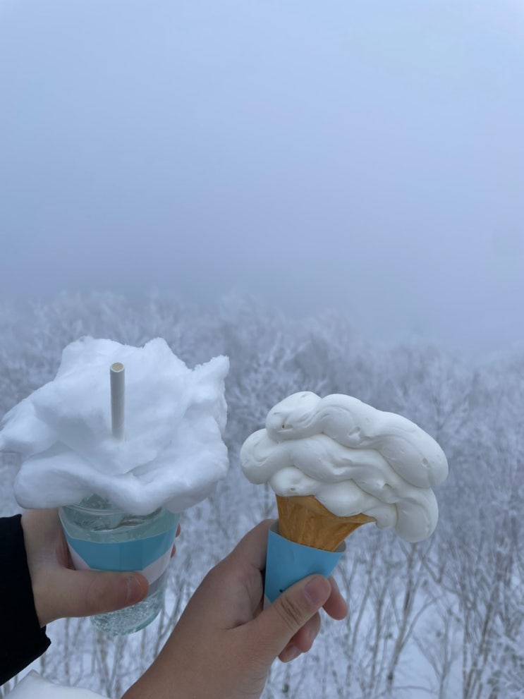 <b>크리스마스</b>의 홋카이도... 즐길거리, <b>눈썰매</b>, 수영장, 운해카페,