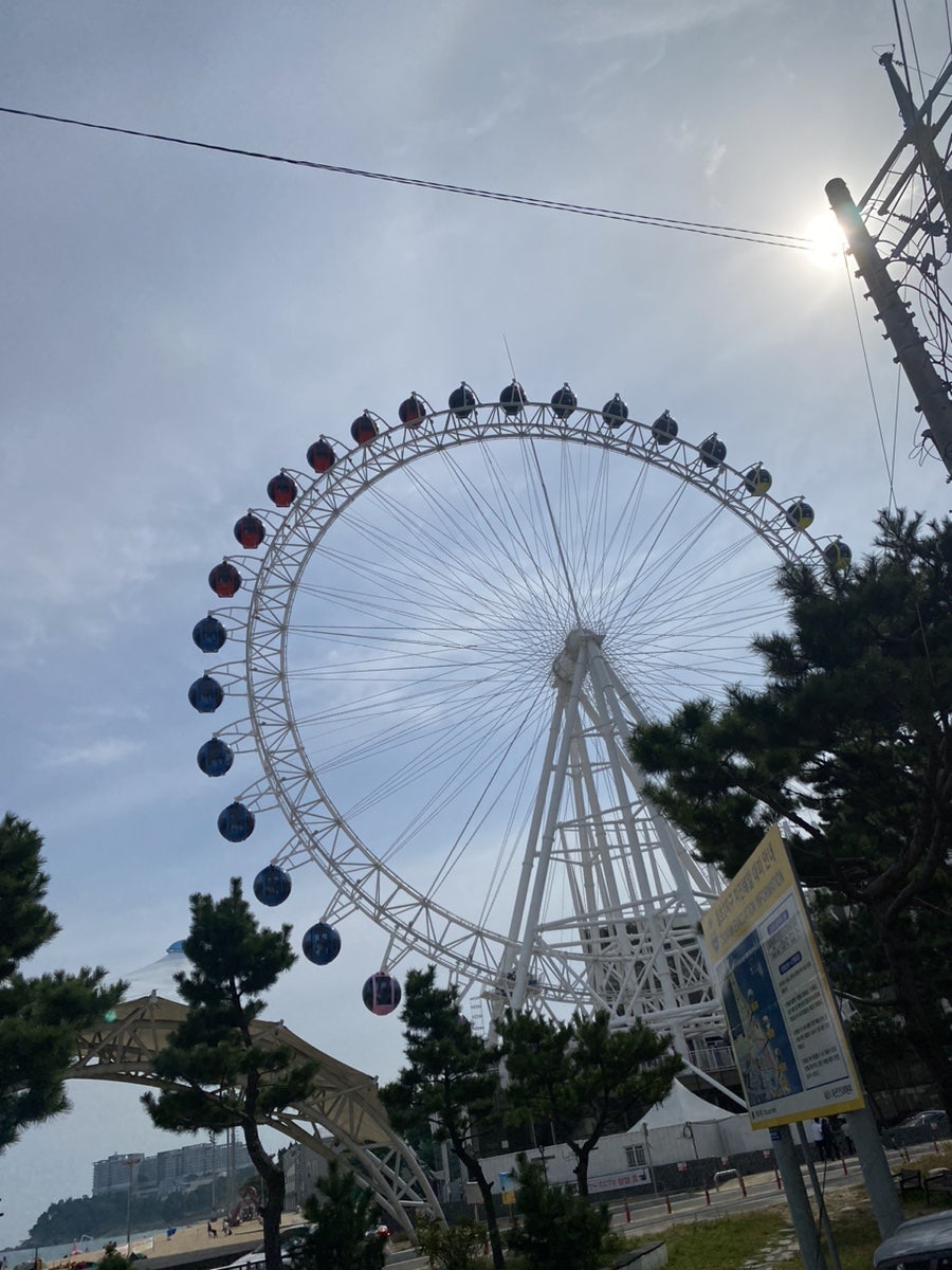 정든식당 사진 1