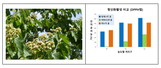 기관 간 협업…꿀벌·생태계 보전 위해 ‘밀원수’ 심어 기관 간 협업…꿀벌·생태계 보전 위해 ‘밀원수’ 심어