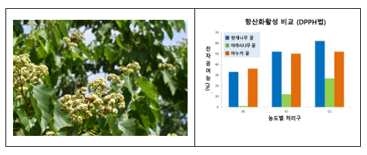 기관 간 협업…꿀벌·생태계 보전 위해 ‘밀원수’ 심어