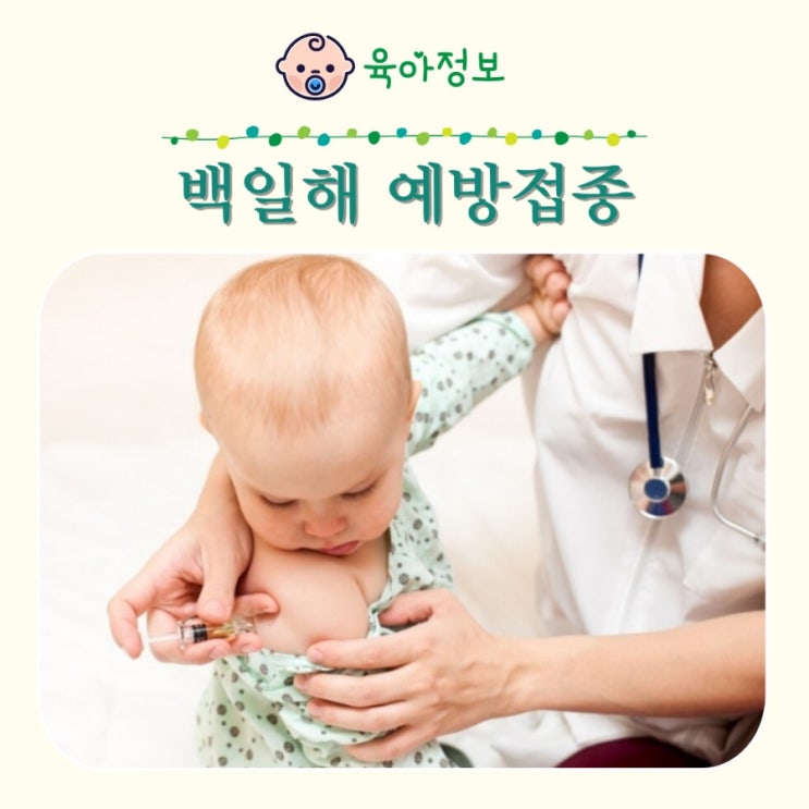 백일해주사 가격 가족 남편 예방접종 보건소 병원 증상