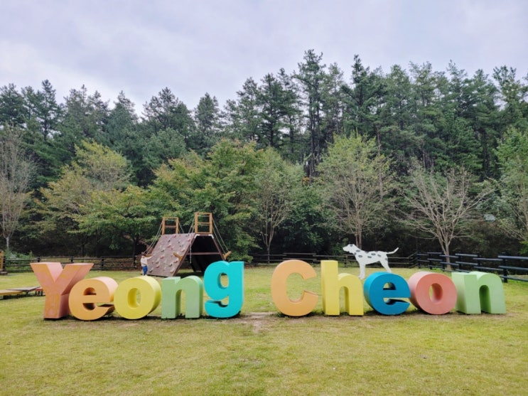  운주산승마자연휴양림 숲속의집 5호 예약 꿀팁, 스타벅스 영천완산DT점