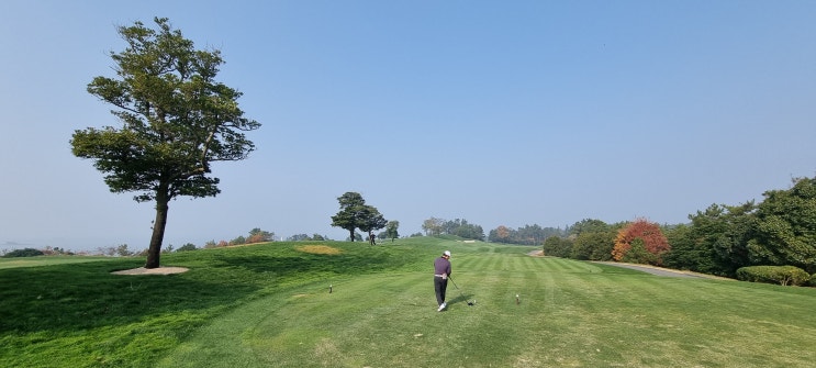  한국의 페블비치라 불리는 파인비치GC 라운딩