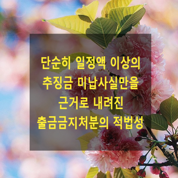  단순히 일정액 이상의 추징금 미납사실만을 근거로 내려진 출금금지처분이 적법한지