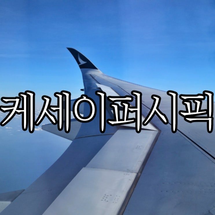  케세이퍼시픽 인천-홍콩 좌석후기 및 특별 기내식의 치명적 단점(+기내 와이파이 사용법)