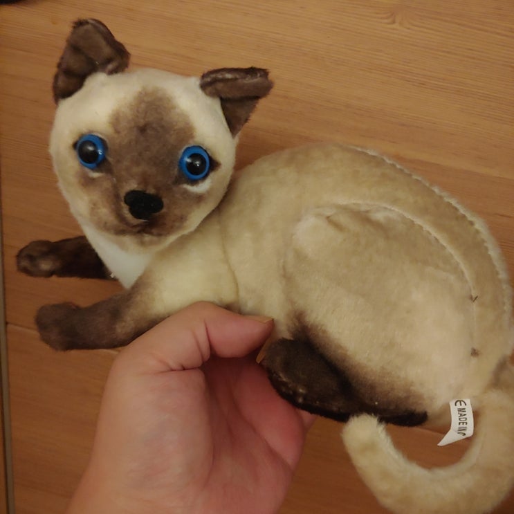 TCR 리얼 고양이 인형 구매 후기