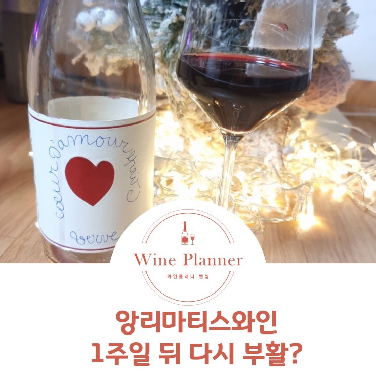  앙리마티스와인 세븐편의점 와인시음기 - 7일만의 부활?