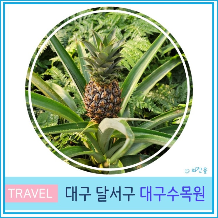  산책하기 좋은 대구수목원 주차장 대구 가볼만한곳 데이트코스 나들이