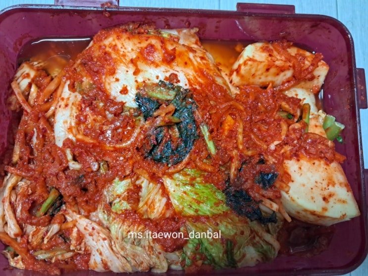 배추김치 김장김치 담그기 쉽게 담그기 배추김치 김장김치 담그기 쉽게 담그기