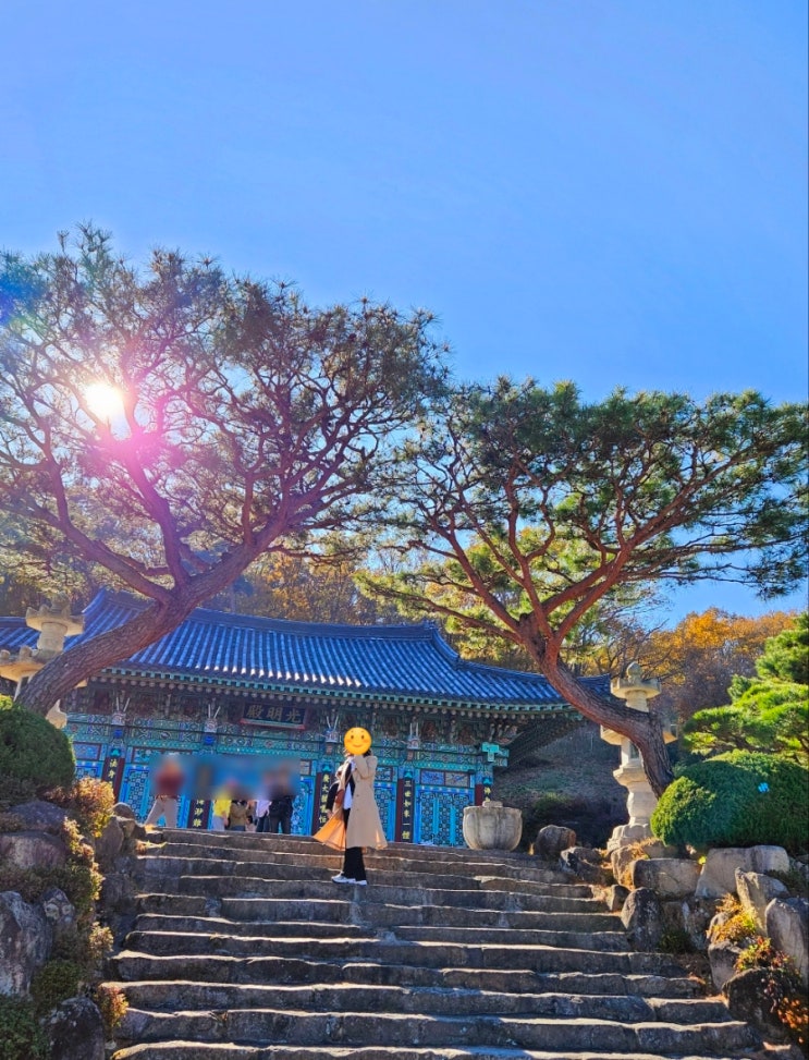  11월 통도사 오오티디