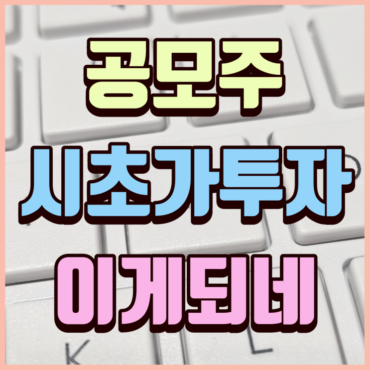  11월 공모주 투자 결산, 시초가 매수 투자 수익 이게 된다고?
