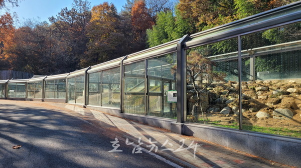  광주 조류충돌 저감사업 통해 야생조류 충돌 미리 예방한다