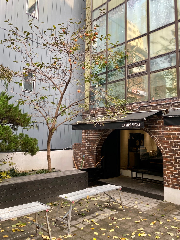  [서울 마포구] 홍대 서교동 카페, 오버트 합정 / 뷔릴레라떼, 플랫화이트, 오버트서울 합정점