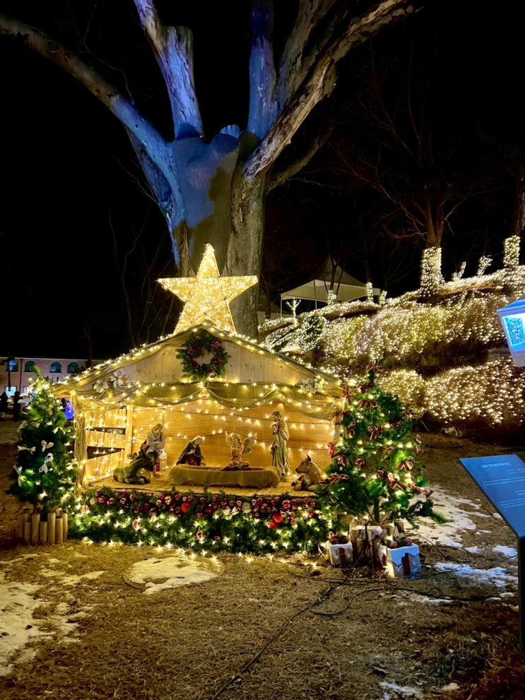 크리스마스 명소 바람 쐬러 가기 좋은 아산 ‘공세리성당’