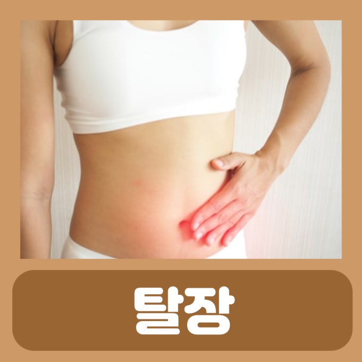  탈장 증상 원인, 배꼽 항문 서혜부 소아 여자 탈장