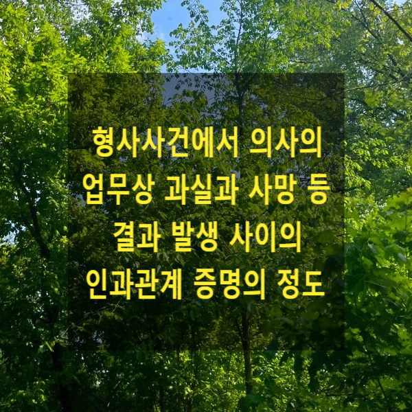  형사사건에서 의사의 업무상 과실과 사망 등 결과 발생 사이의 인과관계 증명의 정도
