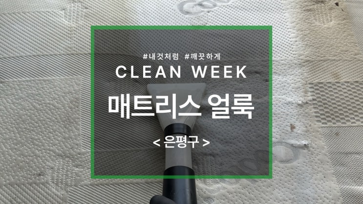  매트리스청소 과정과 관리 방법
