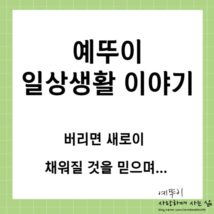 예뚜이 일상생활 이야기 블로그 포스팅 비공개 전환