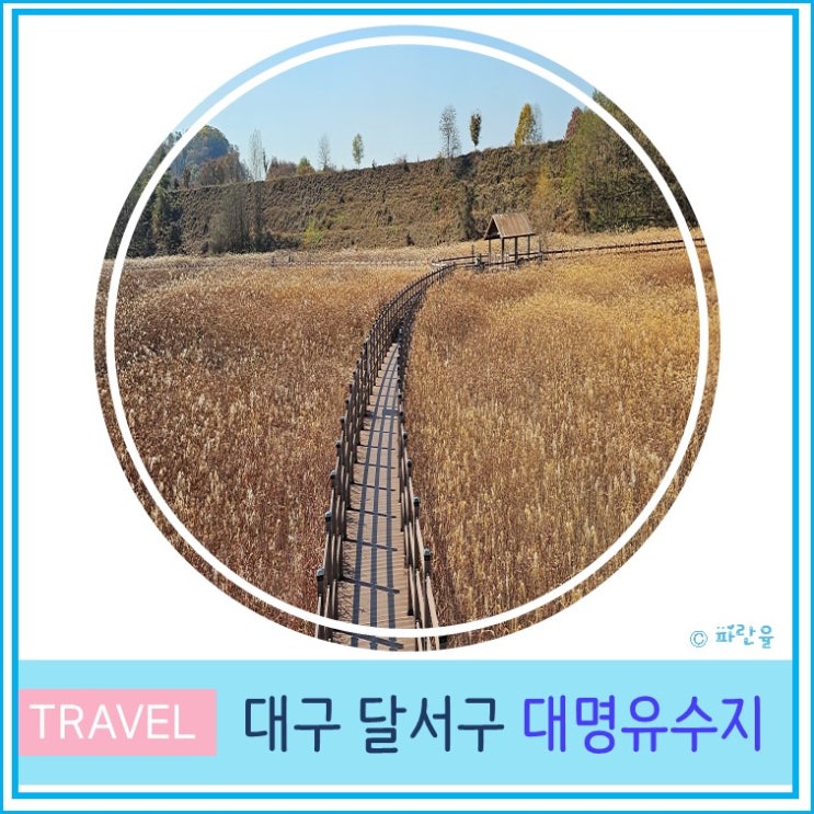  대명 유수지 달성습지 대구 억새 명소 갈대밭 대구 가볼만한곳