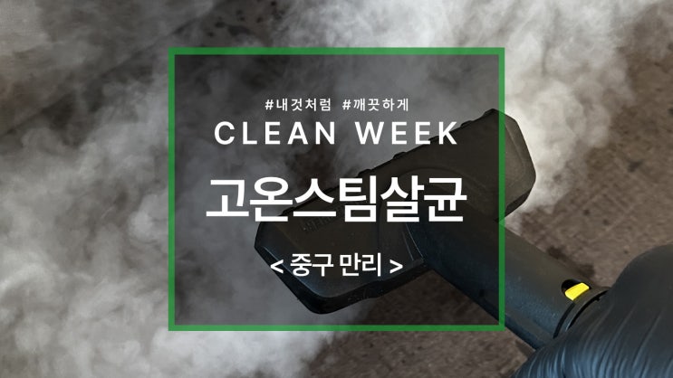  스팀을 이용한 패브릭 소파 청소 과정