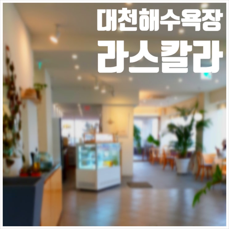  대천해수욕장 카페 라스칼라 바다앞 전망좋은 곳