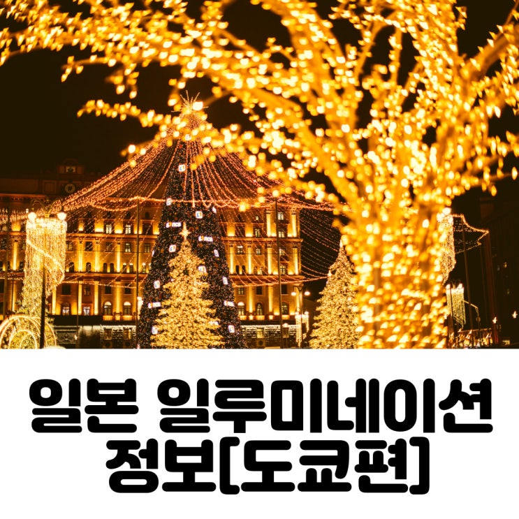  일본의 빛나는 행사, 일루미네이션 정보를 가져왔습니다! [도쿄편]