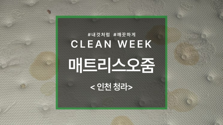  반려동물 소변 매트리스 청소 방법