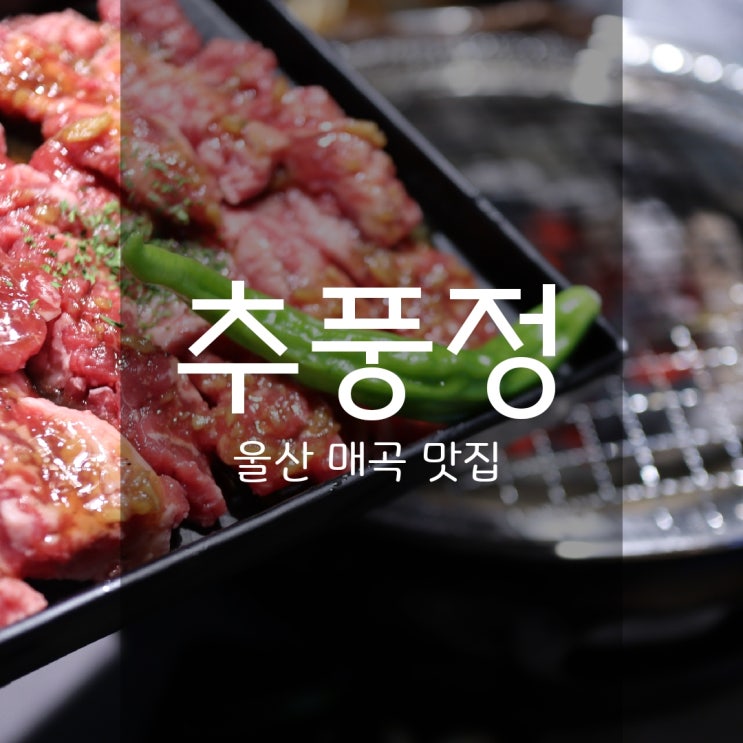 추풍정 - 숙성 소갈비살 전문 울산매곡맛집
