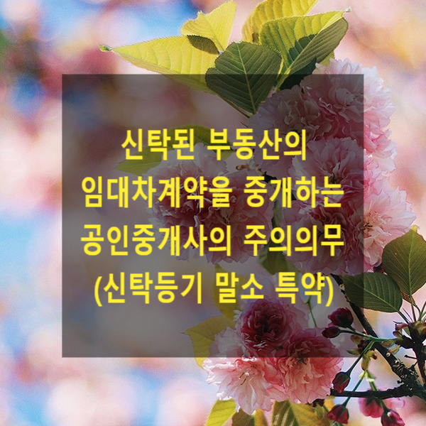  신탁된 부동산의 임대차계약을 중개하는 공인중개사의 주의의무(신탁등기 말소 특약)