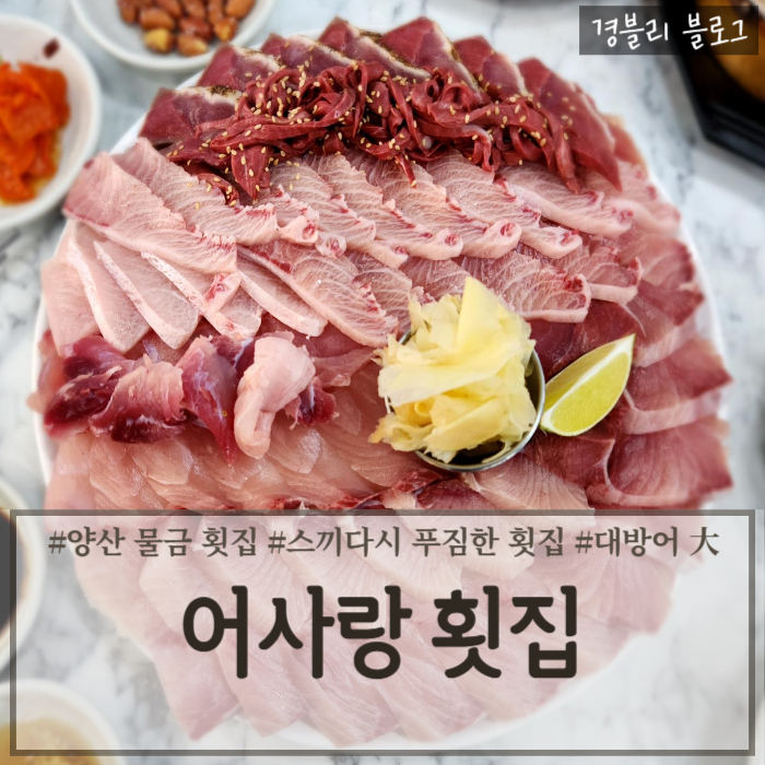  양산 물금 횟집 대방어 맛집 (Feat. 특수 부위) '어사랑횟집'