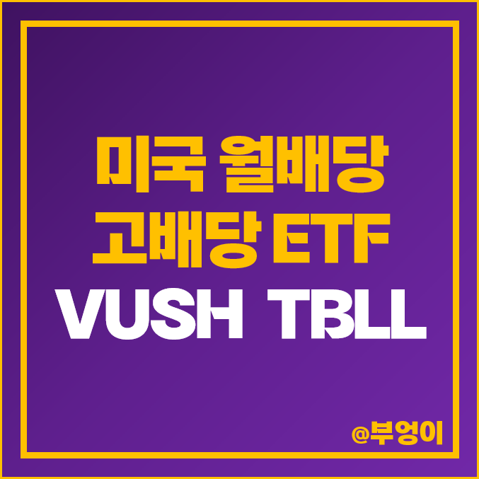 미국 월배당 고배당 ETF VUSB TBLL 주가 채권 듀레이션