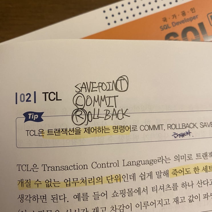 SQL Developer TCL에 대해서 알아보자!