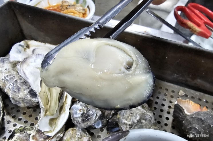  제철 음식 요리 굴찜 만들기 주워듣고 먹기만 했어요