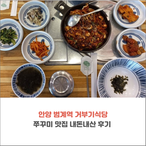  안양 범계역 거부기식당 쭈꾸미 맛집 내돈내산 후기