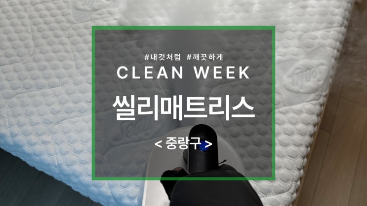  라텍스매트리스 단점 및 씰리매트리스 청소