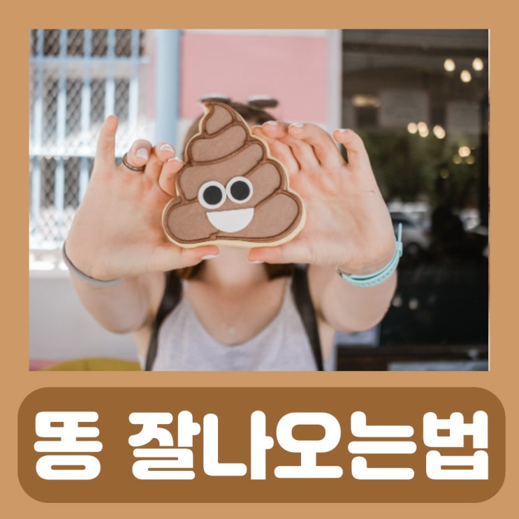  똥 잘나오는법 자세 대변 똥 안나올때 똥 잘싸는법 잘나오는자세