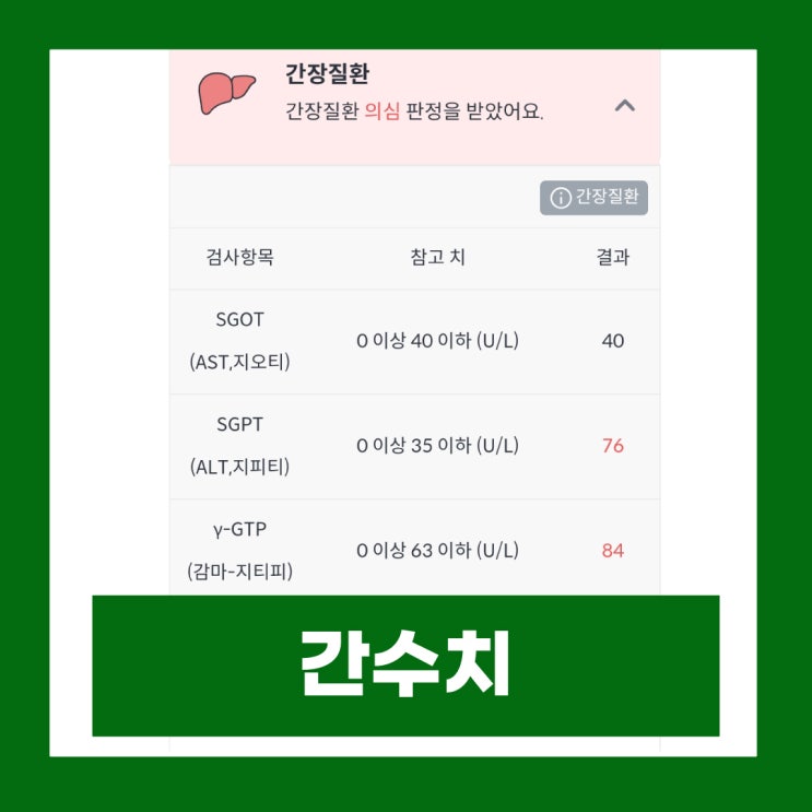  간수치 ALT AST γ-GTP 정상범위 높은 이유
